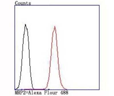 Flow Cytometry: MRP2 Antibody (JA32-01) [NBP2-66958] - Analysis of A549 cells with MRP2 antibody at 1/100 dilution (red) compared with an unlabelled control (cells without incubation with primary antibody; black).