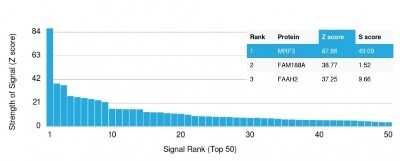 Protein Array: MRP3 Antibody (ABCC3/2971) - Azide and BSA Free [NBP2-79837] - Analysis of Protein Array containing more than 19,000 full-length human proteins using MRP3 Antibody (ABCC3/2971). Z- and S- Score: The Z-score represents the strength of a signal that a monoclonal antibody (MAb) (in combination with a fluorescently-tagge