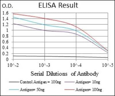 ELISA: MRP4/ABCC4 Antibody (2D2A9) [NBP2-37350] - Red: Control Antigen (100ng); Purple: Antigen (10ng); Green: Antigen (50ng); Blue: Antigen (100ng);