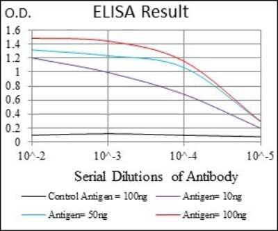 ELISA: MRP4/ABCC4 Antibody (6A7H3) [NBP2-37347] - Red: Control Antigen (100ng); Purple: Antigen (10ng); Green: Antigen (50ng); Blue: Antigen (100ng);