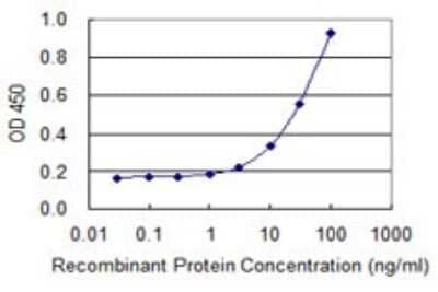 Sandwich ELISA MRPL1 Antibody (2C4)