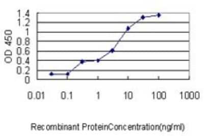 ELISA MRPL12 Antibody (3B12-1A3)