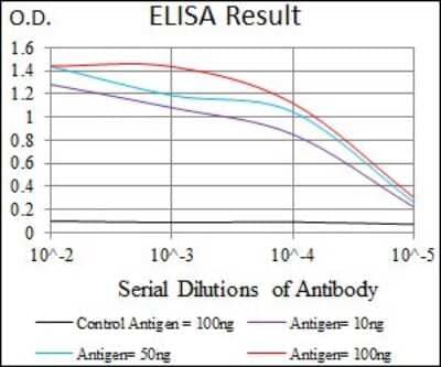 ELISA MRPL42 Antibody (3H6G11) - BSA Free