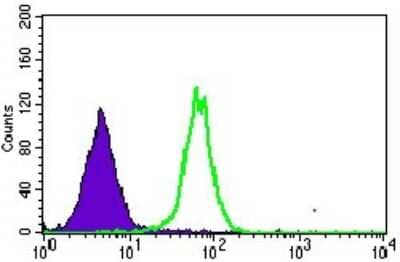 Flow Cytometry: MRPL42 Antibody (3H6G11) [NBP2-37393] - Flow cytometric analysis of HepG2 cells using MRPL42 mouse mAb (green) and negative control (purple).