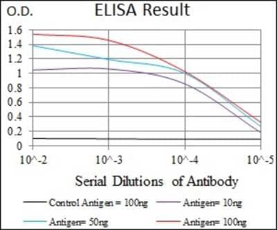 ELISA: MRPL42 Antibody (3H6H2) [NBP2-37385] - Red: Control Antigen (100ng); Purple: Antigen (10ng); Green: Antigen (50ng); Blue: Antigen (100ng);