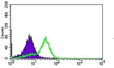 Flow Cytometry: MRPL42 Antibody (3H6H2) [NBP2-37385] - Flow cytometric analysis of HepG2 cells using MRPL42 mouse mAb (green) and negative control (purple).