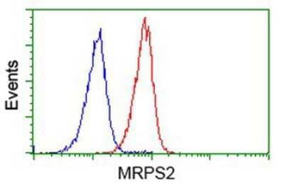 Flow Cytometry: MRPS2 Antibody (4D6) [NBP2-03292] - Analysis of Jurkat cells, using anti-MRPS2 antibody, (Red), compared to a nonspecific negative control antibody (Blue).