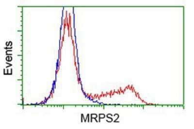 Flow Cytometry MRPS2 Antibody (OTI4D6)