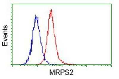 Flow Cytometry: MRPS2 Antibody (OTI4D6) - Azide and BSA Free [NBP2-72783] - Analysis of Hela cells, using anti-MRPS2 antibody, (Red), compared to a nonspecific negative control antibody (Blue).