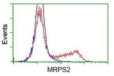 Flow Cytometry: MRPS2 Antibody (OTI4D6) - Azide and BSA Free [NBP2-72783] - HEK293T cells transfected with either overexpression plasmid (Red) or empty vector control plasmid (Blue) were immunostaining by anti-MRPS2 antibody, and then analyzed by flow cytometry.