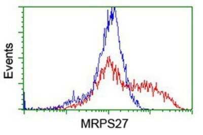 Flow Cytometry: MRPS27 Antibody (OTI1A2) - Azide and BSA Free [NBP2-72784] - HEK293T cells transfected with either overexpression plasmid (Red) or empty vector control plasmid (Blue) were immunostaining by anti-MRPS27 antibody, and then analyzed by flow cytometry.