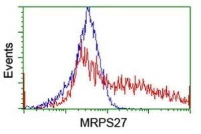 Flow Cytometry: MRPS27 Antibody (OTI6E5) - Azide and BSA Free [NBP2-72787] - Analysis of HEK293T cells transfected with either overexpress plasmid(Red) or empty vector control plasmid(Blue) were immunostaining by MRPS27 antibody.
