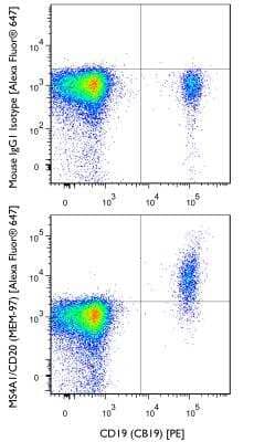 Flow Cytometry: MS4A1/CD20 Antibody (MEM-97) [Alexa Fluor 647] [NBP1-44634AF647] - A surface stain was performed on human peripheral blood lymphocytes with MS4A1/CD20 (MEM-97) antibody NBP1-44634AF647 and a matched isotype control NBP2-27287AF647. Cells were incubated in an antibody dilution of 2 ug/mL for 20 minutes at room temperature. A co-stain was performed with NBP2-26646.