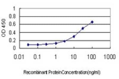 Sandwich ELISA: MSRB2 Antibody (2B7) [H00022921-M01] - Detection limit for recombinant GST tagged MSRB2 is approximately 0.3ng/ml as a capture antibody.