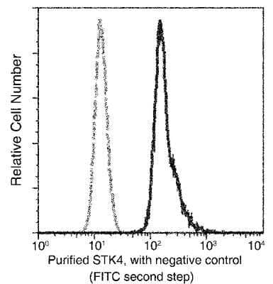 Flow Cytometry: MST1/STK4 Antibody (01) [NBP3-06376] - Flow cytometric analysis of Human STK4 expression on HeLa cells.  The cells were treated according to manufacturer's manual (BD Pharmingen (TM)), stained with purified anti-Human STK4, then a FITC-conjugated second step antibody. The fluorescence histograms were derived from gated events with the forward and side light-scatter characteristics of intact cells.