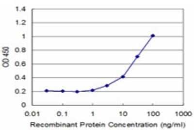 Sandwich ELISA: MST3 Antibody (1E12) [H00008428-M01] - Detection limit for recombinant GST tagged STK24 is approximately 3ng/ml as a capture antibody.