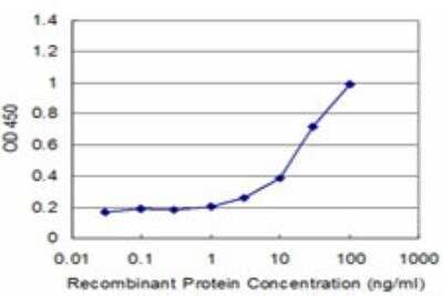 ELISA: MST3 Antibody (3F2) [H00008428-M04] - Detection limit for recombinant GST tagged STK24 is approximately 1ng/ml as a capture antibody.