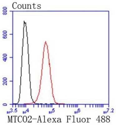 Flow Cytometry: MT-CO2 Antibody (SC06-88) [NBP2-67617] - Analysis of HepG2 cells with MTCO2 antibody at 1/50 dilution (red) compared with an unlabelled control (cells without incubation with primary antibody; black). Alexa Fluor 488-conjugated goat anti rabbit IgG was used as the secondary antibody