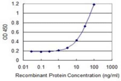 Sandwich ELISA: MTAP Antibody (4C8) [H00004507-M08] - Detection limit for recombinant GST tagged MTAP is 0.3 ng/ml as a capture antibody.