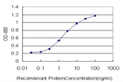 ELISA: MTF1 Antibody (2C12) [H00004520-M04] - Detection limit for recombinant GST tagged MTF1 is approximately 0.03ng/ml as a capture antibody.