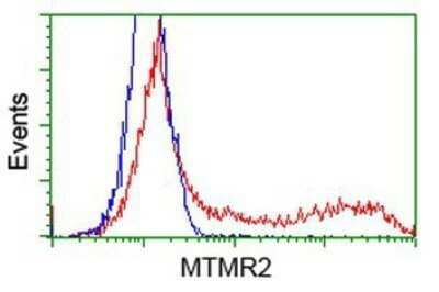 Flow Cytometry: MTMR2 Antibody (OTI2D2) - Azide and BSA Free [NBP2-72809] - HEK293T cells transfected with either overexpression plasmid (Red) or empty vector control plasmid (Blue) were immunostaining by anti-MTMR2 antibody, and then analyzed by flow cytometry.