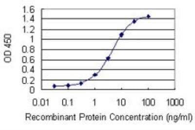 ELISA: MTMR3 Antibody (1E11.) [H00008897-M07] - MTMR3 Antibody (1E11) [H00008897-M07] - Detection limit for recombinant GST tagged MTMR3 is 0.1 ng/ml as a capture antibody.