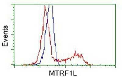 Flow Cytometry: MTRF1L Antibody (OTI1D11) - Azide and BSA Free [NBP2-72814] - HEK293T cells transfected with either pCMV6-ENTRY MTRF1L.(Red) or empty vector control plasmid (Blue) were immunostaining with anti-MTRF1L mouse monoclonal, and then analyzed by flow cytometry.
