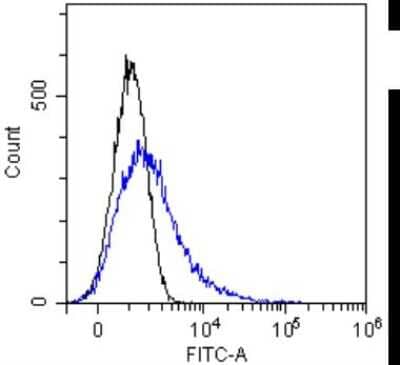 Flow Cytometry: MUC1 Antibody (SM3) - Chimeric [NBP2-62561] - Flow-cytometry using the anti-MUC1 SM3. MCF-7 cells were stained with unimmunized rabbit IgG antibody (black line) or the rabbit-chimeric version of SM3 (NBP2-62561, blue line) at a concentration of 10 ug/ml for 30 mins at RT. After washing, bound antibody was detected using anti-rabbit IgG JK (FITC-conjugate) antibody at 2 ug/ml and cells analyzed on a FACSCanto flow-cytometer.