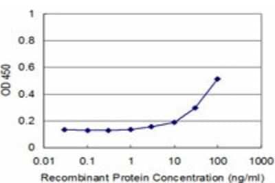 Sandwich ELISA: MYF6 Antibody (1H3) [H00004618-M05] - Detection limit for recombinant GST tagged MYF6 is approximately 3ng/ml as a capture antibody.