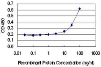 ELISA: MYO15A Antibody (7F2) [H00051168-M01] - Detection limit for recombinant GST tagged MYO15A is 3 ng/ml as a capture antibody.