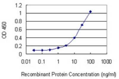 Sandwich ELISA: MYO3B Antibody (1D1) [H00140469-M01] - Detection limit for recombinant GST tagged MYO3B is 0.3 ng/ml as a capture antibody.