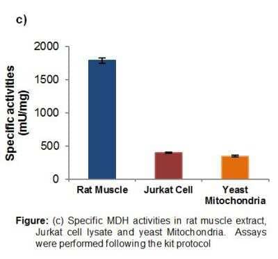 Malate Dehydrogenase Activity Fluorometric Assay Kit [NBP2-59750]