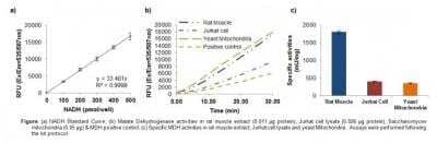 Malate Dehydrogenase Activity Fluorometric Assay Kit [NBP2-59750]