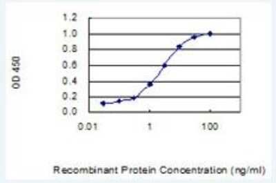 ELISA: Mammaglobin B Antibody (2E2) [H00004246-M07] - Detection limit for recombinant GST tagged SCGB2A1 is 0.03 ng/ml as a capture antibody.