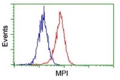 Flow Cytometry: Mannose Phosphate Isomerase Antibody (OTI4G7) - Azide and BSA Free [NBP2-72584] - Analysis of Hela cells, using MPI antibody (Red), compared to a nonspecific negative control antibody (Blue).