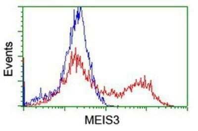Flow Cytometry: Meis homeobox 3 Antibody (OTI3E12) - Azide and BSA Free [NBP2-72642] - HEK293T cells transfected with either overexpression plasmid (Red) or empty vector control plasmid (Blue) were immunostaining by anti-Meis homeobox 3 antibody, and then analyzed by flow cytometry.
