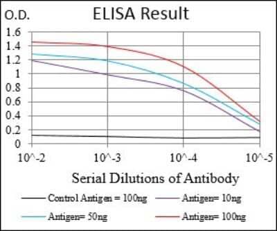 ELISA: Menin Antibody (7D3E10) [NBP2-37251] - Red: Control Antigen (100ng); Purple: Antigen (10ng); Green: Antigen (50ng); Blue: Antigen (100ng);