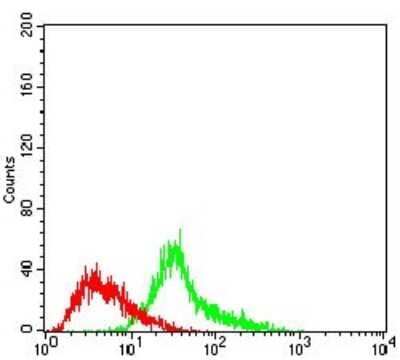 Flow Cytometry: Menin Antibody (7D3E10) [NBP2-37251] - Analysis of Hela cells using MEN1 mouse mAb (green) and negative control (red).