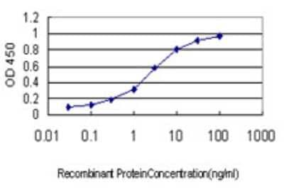 Sandwich ELISA MiRP3 Antibody (1D7)