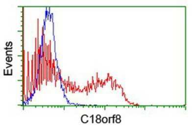 Flow Cytometry: Mic1 Antibody (4E4) [NBP2-01949] - HEK293T cells transfected with either overexpression plasmid (Red) or empty vector control plasmid (Blue) were immunostained by anti-Mic1 antibody, and then analyzed by flow cytometry.