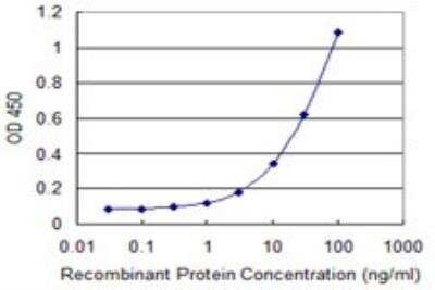 ELISA: Mimecan/OIF Antibody (2G4) [H00004969-M01] - Detection limit for recombinant GST tagged OGN is 0.3 ng/ml as a capture antibody.