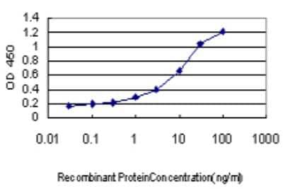 Sandwich ELISA: Mind Bomb 1/MIB1 Antibody (2A9) [H00057534-M03] - Detection limit for recombinant GST tagged MIB1 is approximately 0.1ng/ml as a capture antibody.