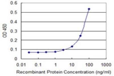 Sandwich ELISA: Mind Bomb 1/MIB1 Antibody (3E10) [H00057534-M02] - Detection limit for recombinant GST tagged MIB1 is 3 ng/ml as a capture antibody.