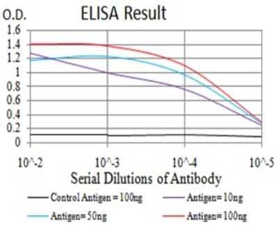 ELISA: Mind Bomb 1/MIB1 Antibody (6A9C9) [NBP2-61864] - Black line: Control Antigen (100 ng);Purple line: Antigen (10ng); Blue line: Antigen (50 ng); Red line:Antigen (100 ng)