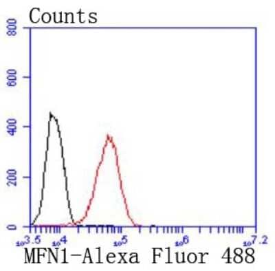 Flow Cytometry: Mitofusin 1 Antibody (JF0954) [NBP2-66952] - Analysis of 293 cells with Mitofusin 1 antibody at 1/50 dilution (red) compared with an unlabelled control (cells without incubation with primary antibody; black). Alexa Fluor 488-conjugated goat anti rabbit IgG was used as the secondary antibody