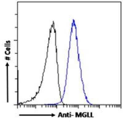 Flow Cytometry: Monoglyceride Lipase Antibody [NB100-96920] - Flow cytometric analysis of paraformaldehyde fixed A431 cells (blue line), permeabilized with 0.5% Triton. Primary incubation 1hr (10 ug/mL) followed by Alexa Fluor 488 secondary antibody (1 ug/mL). IgG control: Unimmunized goat IgG (black line) followed by Alexa Fluor 488 secondary antibody.