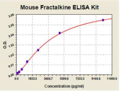 ELISA: Mouse CX3CL1/Fractalkine ELISA Kit (Colorimetric) [KA0663] - These standard curves are provided for demonstration only. A standard curve should be generated for each set of samples assayed.