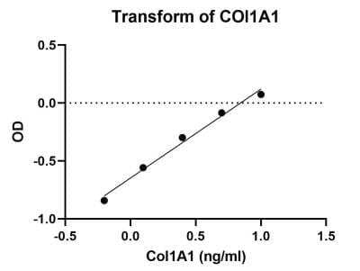 ELISA Mouse Collagen Type I ELISA Kit (Colorimetric)