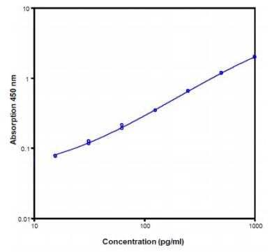 ELISA: Mouse IL-12 ELISA Kit (Colorimetric) [NBP1-92658] - IL-12 ELISA Kit (Colorimetric) [NBP1-92658] - Representative standard curve for mouse IL-12 ELISA. Mouse IL- 12 was diluted in serial 2-fold steps in sample diluent. Do not use this standard curve to derive test results. A standard curve must be run for each group ofmicrowell strips assayed.