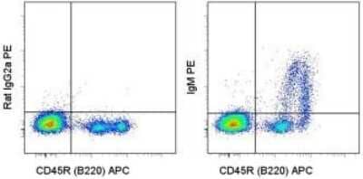 Flow Cytometry: Rat anti-Mouse IgM Heavy Chain Secondary Antibody (eB121-15F9) [PE] [NBP1-43749] - See notes for image caption